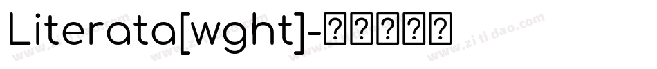 Literata[wght]字体转换